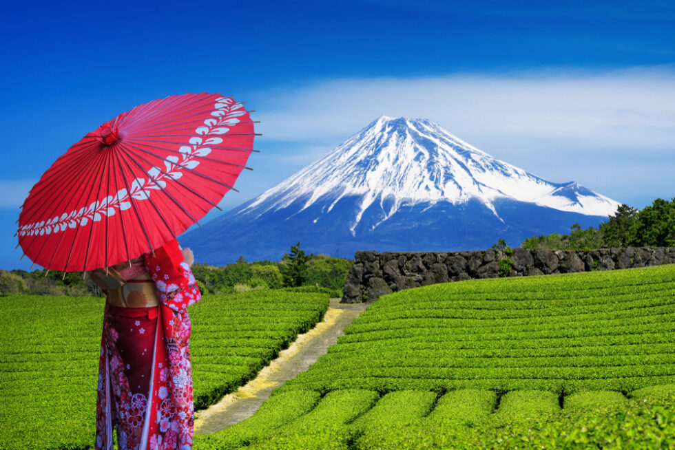 着物の女性と富士山
