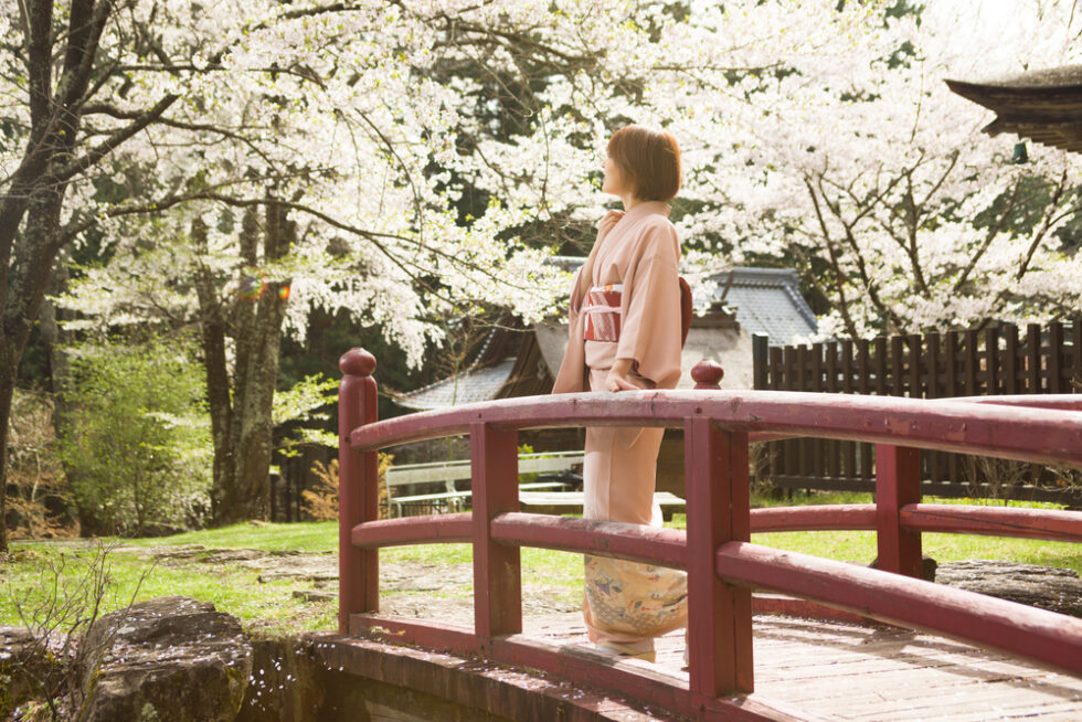桜を見る着物の女性